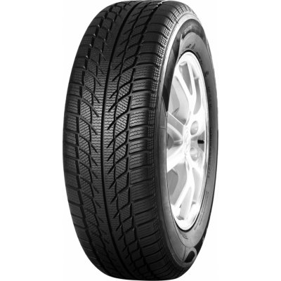 Goodride SW608 205/55 R16 91T – Hledejceny.cz