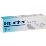 Bepanthen Derm regenerační krém pro podrážděnou pokožku 100 g – Zbozi.Blesk.cz