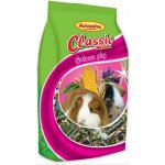 Avicentra Classic Menu Morče 1 kg – Zbozi.Blesk.cz