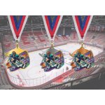 Akrylátová medaile Hokej Zlatá – Sleviste.cz