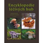 Encyklopedie léčivých hub - Socha Radomír – Zboží Dáma
