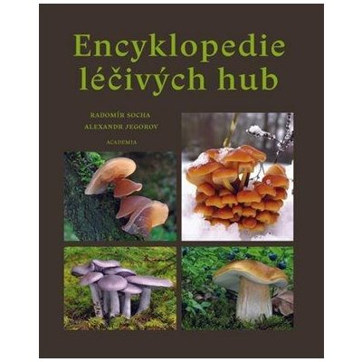 Encyklopedie léčivých hub - Socha Radomír – Zboží Dáma