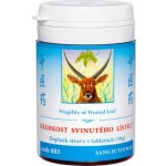 TČM Herbs 003 Křehkost svinutéhho lístku 100 tablet – Hledejceny.cz