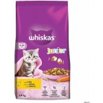 Whiskas Junior s kuřecím masem 1,4 kg – Hledejceny.cz