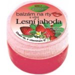 Bione Cosmetics balzám na rty med 25 ml – Hledejceny.cz