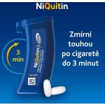 NIQUITIN MINI ORM 4MG PAS CMP 3X20 – Zboží Dáma