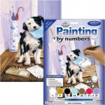 Malování podle čísel Pejsek s dopisem – Sleviste.cz