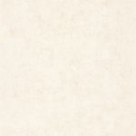 Caselio 101491019 Vliesová tapeta na zeď BETON rozměry 0,53 x 10,05 m – Hledejceny.cz