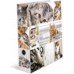 Herma Pořadač pákový A4 7 cm Kočky – Hledejceny.cz