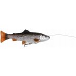 Savage Gear Pstruh 4D Line Thru Pulsetail Trout SS Chub Trout 16 cm 51 g – Zboží Dáma