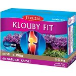 Terezia Company Klouby fit 60 kapslí – Hledejceny.cz