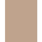 Dermacol Powder Eyebrow Shadow oční stíny 1 1 g – Zboží Dáma