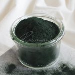 Healthlink Bio Prášek Spirulina 200 g – Hledejceny.cz