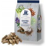 Derby Pamlsky Gastrolinis 3 kg – Zboží Dáma