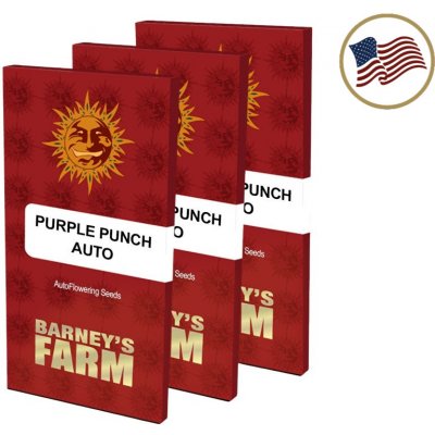 Barney's Farm Purple Punch Auto semena neobsahují THC 5 ks