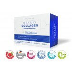 DermoCollagen Marine 3500 mg malina 30 sáčků – Hledejceny.cz