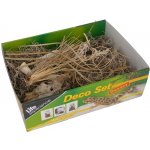 Lucky ReptileDeco Set Desert – Hledejceny.cz