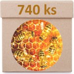 Víčko na sklenici TO-82 - Plástev se včelami - Krabice 740 ks – Hledejceny.cz