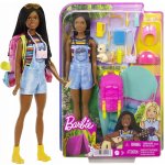 Barbie DHA KEMPUJÍCÍ BROOKLYN – Hledejceny.cz