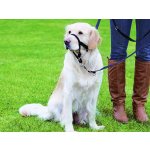 Trixie TOP TRAINER výcvikový postroj L XL – Hledejceny.cz