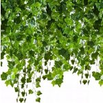 Gardlov 19735 Girlanda břečťan 25,2m – Zboží Dáma Gardlov 19735 Girlanda břečťan 25,2m – Zboží Dáma