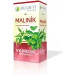 Megafyt Bylinková lékárna maliník 20 x 1,5 g – Sleviste.cz