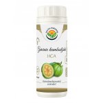 Salvia Paradise Garcinia standardizovaný extrakt 90 kapslí – Hledejceny.cz