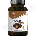 Galmed Chaga 500 mg 90 kapslí – Hledejceny.cz