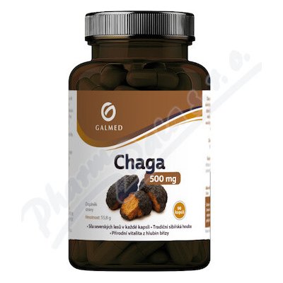 Galmed Chaga 500 mg 90 kapslí – Hledejceny.cz
