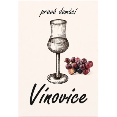 Etiketa samolepící Vínovice – Hledejceny.cz