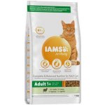 Iams Cat Adult Lamb 2 kg – Zboží Mobilmania