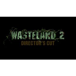 free download wasteland 2 director