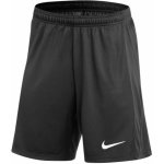 Nike šortky NK DF ACDPR24 SHORT K fd7605-010 – Zboží Dáma Nike šortky NK DF ACDPR24 SHORT K fd7605-010 – Zboží Dáma
