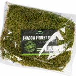 Terrario Shadow Forest Moss 35x30 cm – Zboží Mobilmania