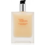 Hermes Terre D Hermes balzám po holeni 100 ml – Zboží Dáma