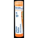 CALCAREA FLUORICA POR 15CH GRA 1X4G – Hledejceny.cz