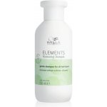 Wella Elements Renewing Shampoo NEW 250 ml – Zbozi.Blesk.cz