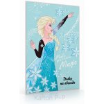 Karton P+P Desky na písmena Frozen – Zboží Dáma
