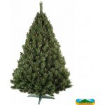 NOHEL GARDEN BOROVICE stromek vánoční umělý + stojan 160 cm 91412 – Hledejceny.cz