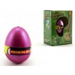 Teddies Dinosaurus líhnoucí a rostoucí z vajíčka 8x10 cm 12 ks v boxu – Sleviste.cz