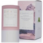 Skin1004 Madagascar Centella Poremizing Quick Clay Stick Mask 27 g – Zbozi.Blesk.cz