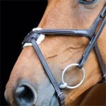 Horze Kožená uzdečka Prescott s mexickým nánosníkem hnědá – Zboží Mobilmania