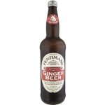 Fentimans Ginger Beer 0,75 l – Zboží Dáma