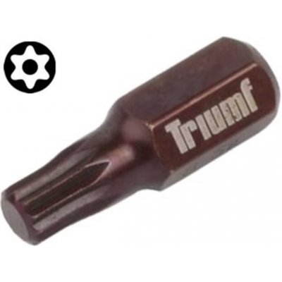 Triumf TORX T25 3/8" 100-02828 – Zboží Dáma