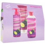 Dermacol Aroma Ritual Grape & Lime pěna do koupele 500 ml + sprchový gel 250 ml + tekuté mýdlo 250 ml dárková sada – Zboží Mobilmania