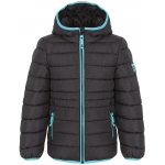 Loap Inpal černá – Hledejceny.cz