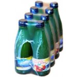 Lhenická ovocná šťáva jablko 100% 8 x 250 ml – Zbozi.Blesk.cz