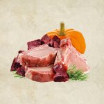 Sam's Field Adult True Salmon & Chicken With Pumpkin 400 g – Hledejceny.cz