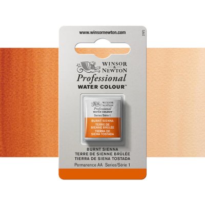 Winsor & Newton Professional, půlpánvička Burn Sienna – Zboží Dáma