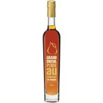 Grand Breuil Poire au Cognac 38% 0,5 l (holá láhev) – Hledejceny.cz
